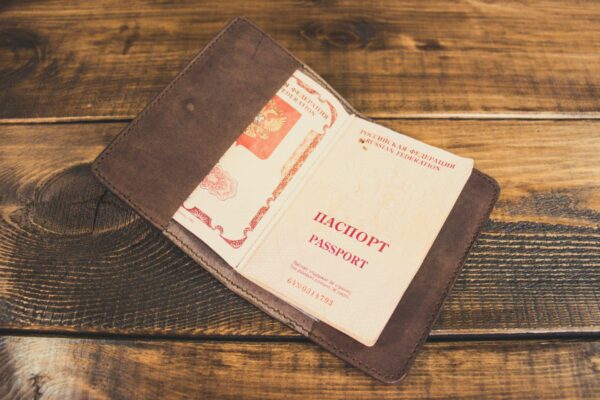 Кожаная обложка для паспорта “Царь Зверей”
